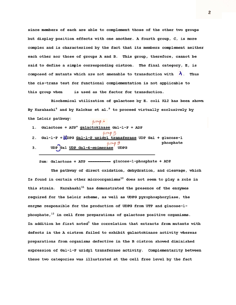 Soffer First Draft Recreated p2
